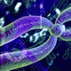 Illustration for article titled The Y chromosome isnt going extinct after all